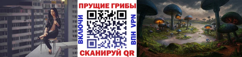 Псилоцибиновые грибы прущие грибы  Тетюши 